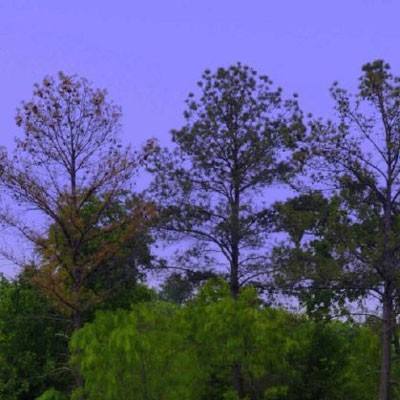 2023澳门资料大全正版app下载截图