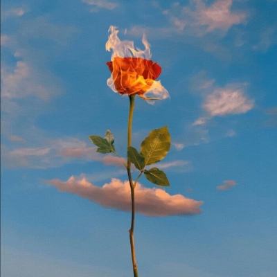 凯发K8旗舰厅App下载