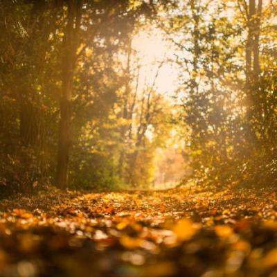 6686体育官网下载