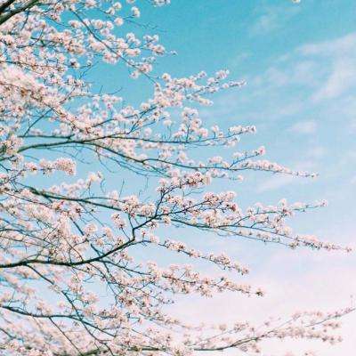 爱游戏APP·官方登录入口(ayx)手机app下载